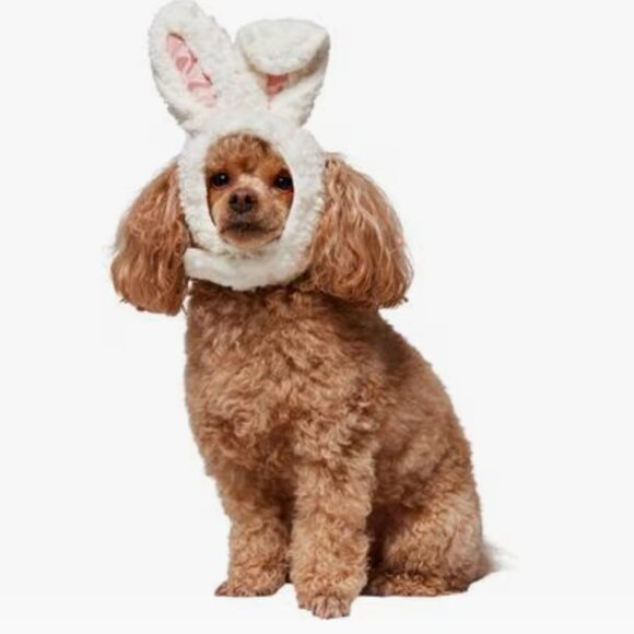 NEW WITH TAGS Frisco Bunny Ears Dog & Cat Costume Accessory, X-Small/Small - Picture 4 of 7